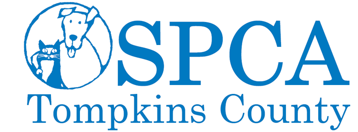 SPCA